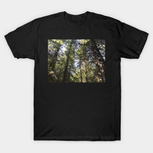 Looking up at Pines in Forest T-Shirt